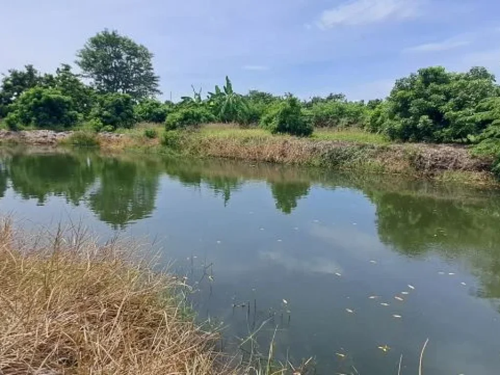 เจ้าของขายเอง ขายสวนลำไยบ่อปลาเชิงเขา ห่างทางหลวง 108