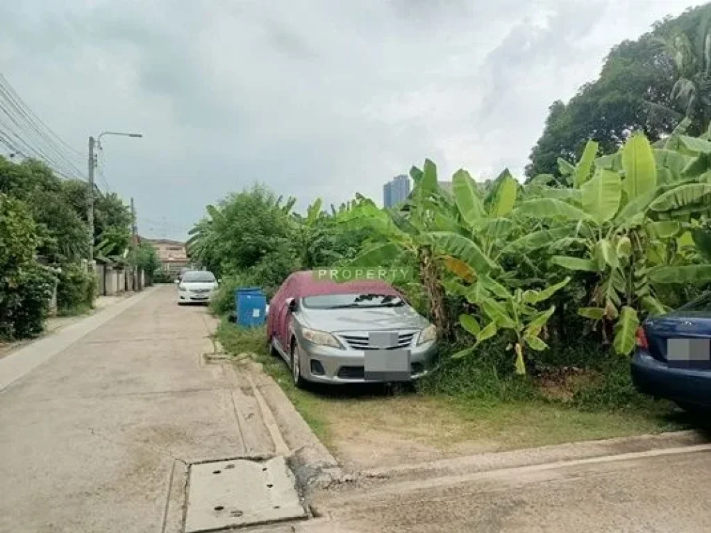 ขายที่ดิน ซอยนนทบุรี 12 แยก 8 บางกระสอ นนทบุรี เนื้อที่ 50