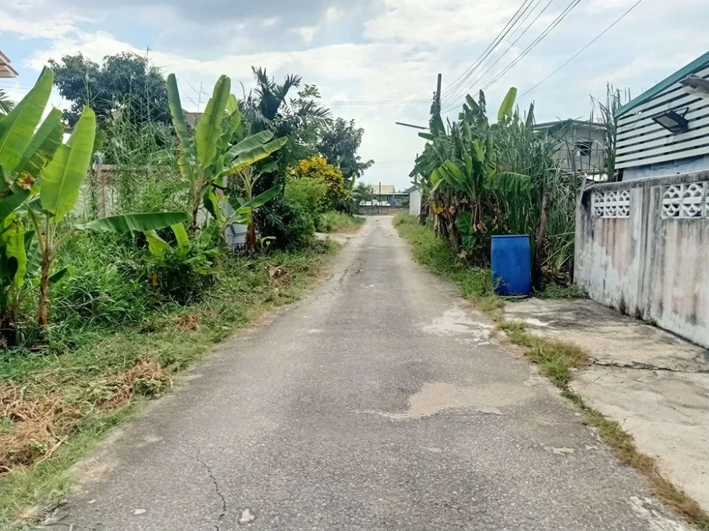 ขายที่ดิน ทำเลดี ใกล้ Central Westville ในซอยวัดบางไกรใน