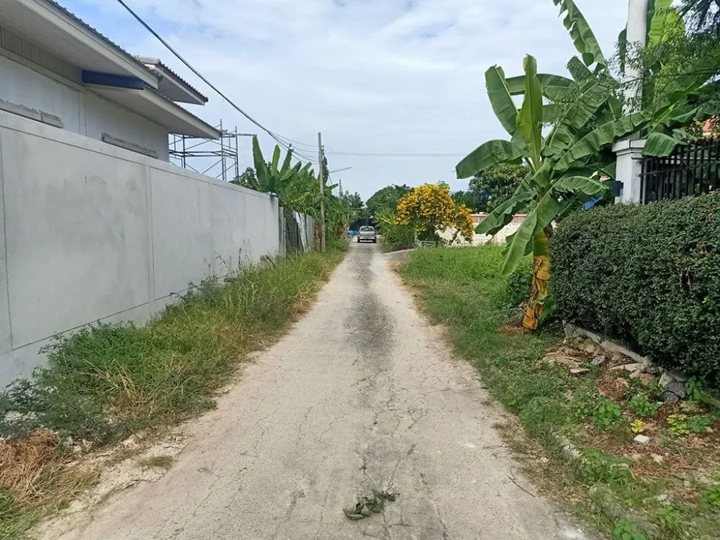 ขายที่ดิน ทำเลดี ใกล้ Central Westville ในซอยวัดบางไกรใน