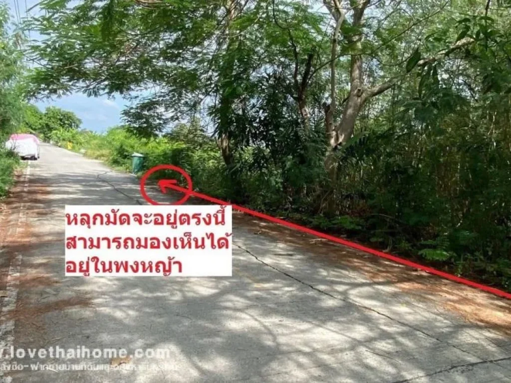 ขายที่ดิน ถนนรังสิต-นครนายก ซอยคุณสัมฤทธิ์ คลอง8 พื้นที่ 1