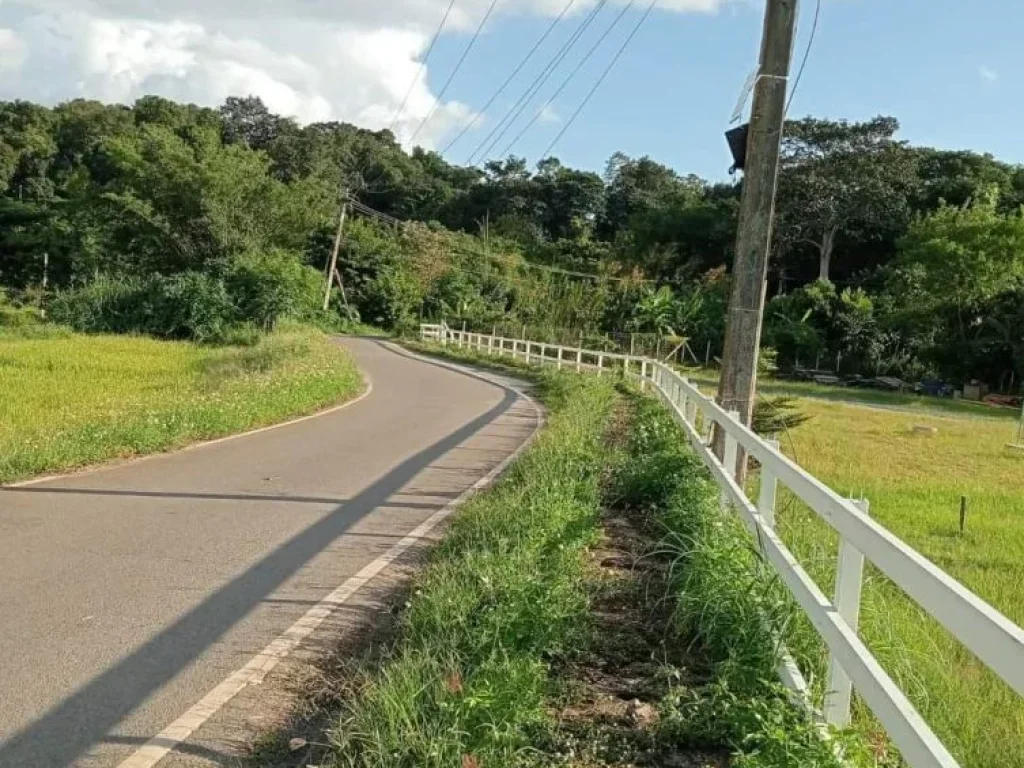 ขายที่ดินแถวดอยสะเก็ตวิวดอยถนนลาดยางโฉนดพร้อมโอน