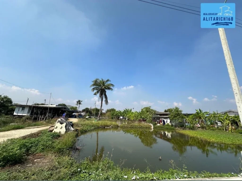 ที่ดินเปล่า ซอยวัดศรีวารีน้อย ตศรีษะจรเข้ใหญ่ อบางพลี