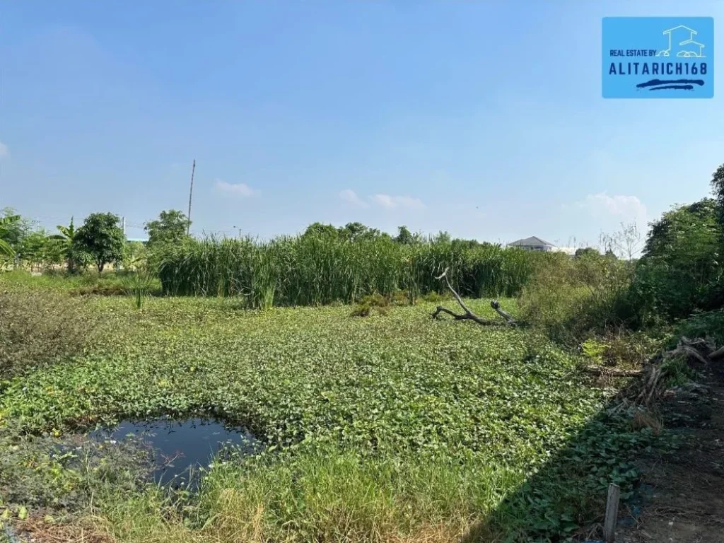 ที่ดินเปล่า ซอยวัดศรีวารีน้อย ตศรีษะจรเข้ใหญ่ อบางพลี