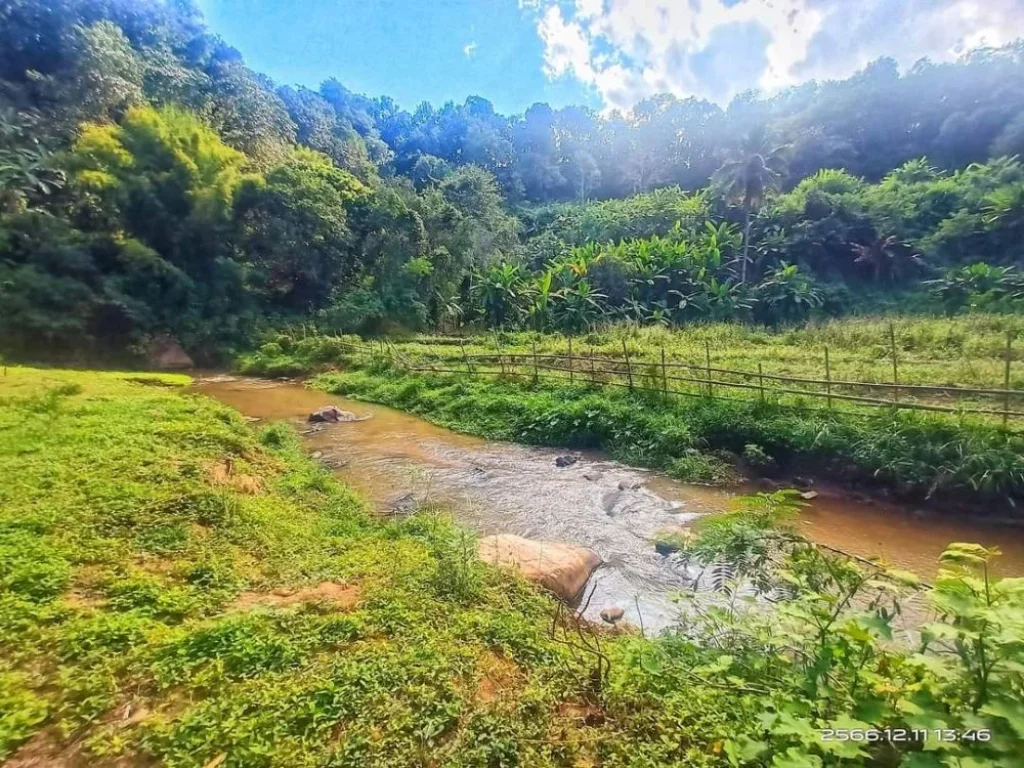 ขายที่ดินติดลำธารน้ำไหลผ่านแม่ริมวิวดอยโฉนดพร้อมโอน