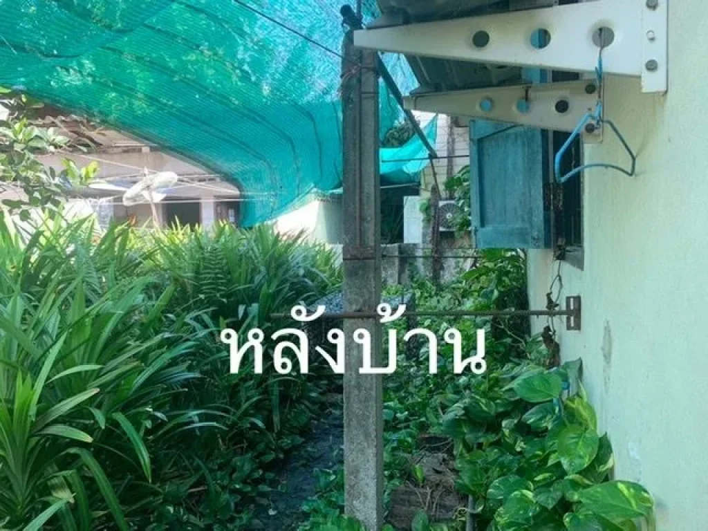 ขายที่ดินพร้อมบ้าน เนื้อที่ 73 ตรว ใจกลางเมือง