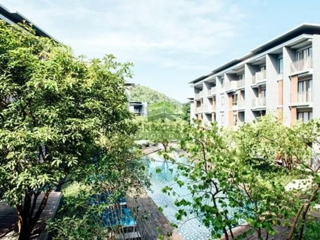 คอนโด 23 องศา เขาใหญ่ 23 DEGREE CONDO KHAOYAI ขายด่วน ห้องชุด