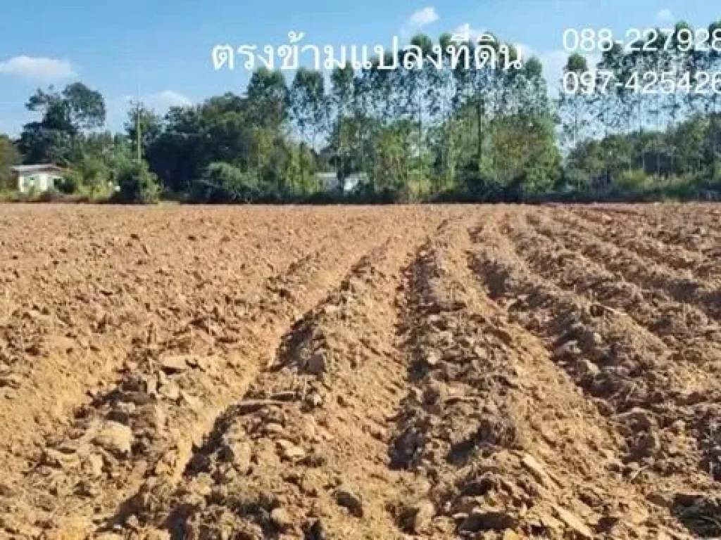 ขายที่ดิน โฉนด 28 ไร่ ติดถนนคอนกรีต กบินทร์บุรี ปราจีนบุรี