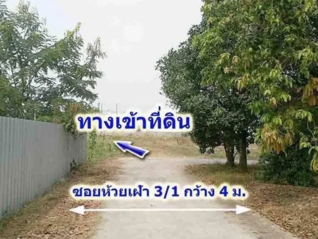 ที่ดินติดถนนสาธารณะ 3 ด้าน นิคมอุตสาหกรรมปิ่นทอง อศรีราชา