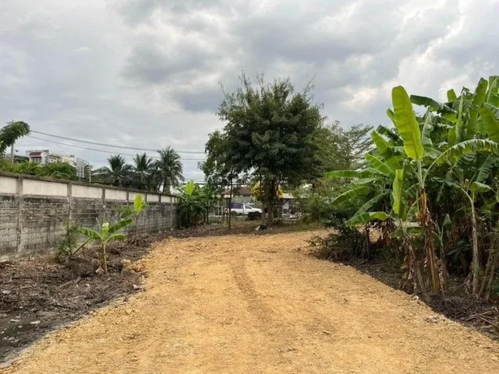 ประกาศขายที่ดินด่วน ติดสี่แยกหนองแขม แขวงหนองแขม