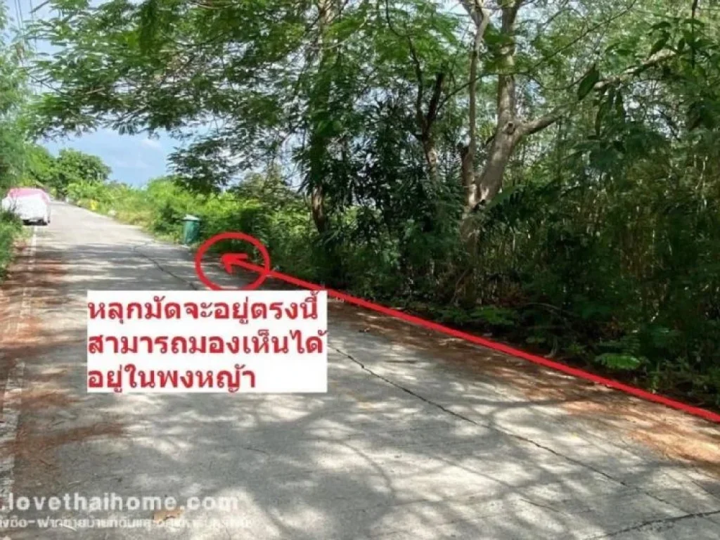 ขายที่ดิน ซอยคุณสัมฤทธิ์ รังสิต นครนายก คลอง8 เข้าซอย400เมตร