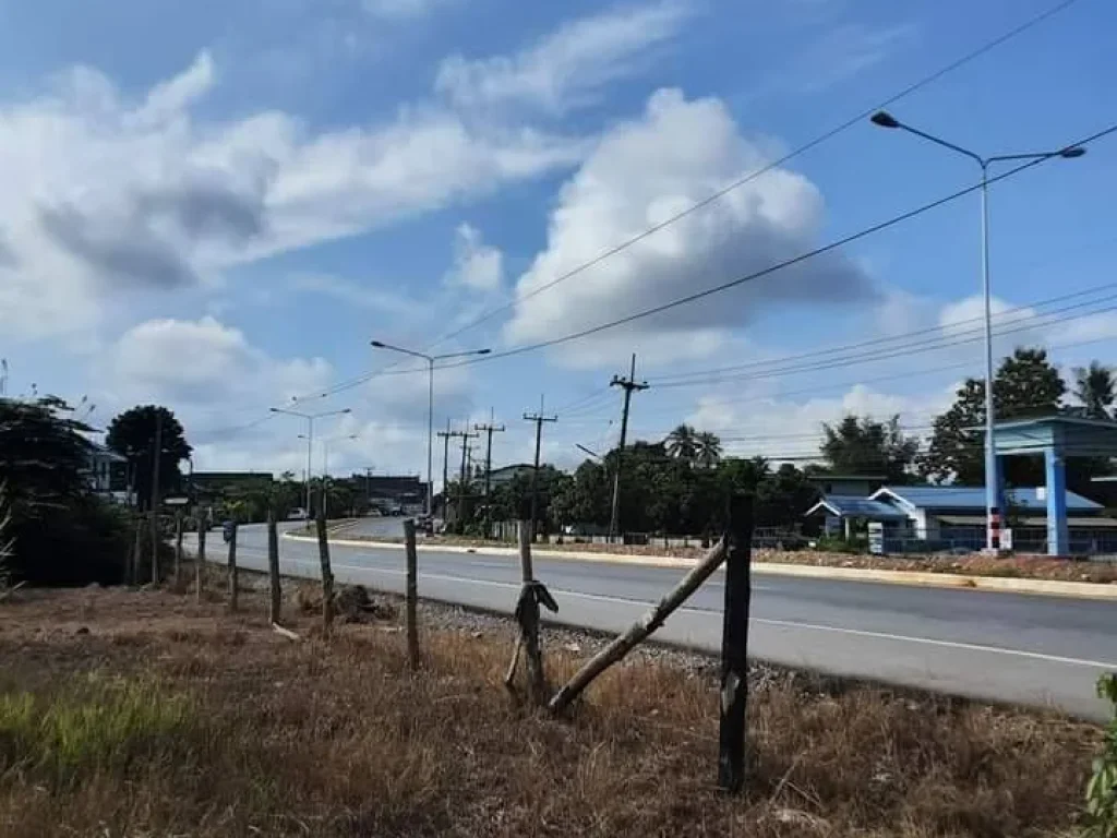 ขายที่ดินติดถนนคอนกรีตวิวดอยหลวงเชียงดาวบ้านปิงโค้งพร้อมโอน