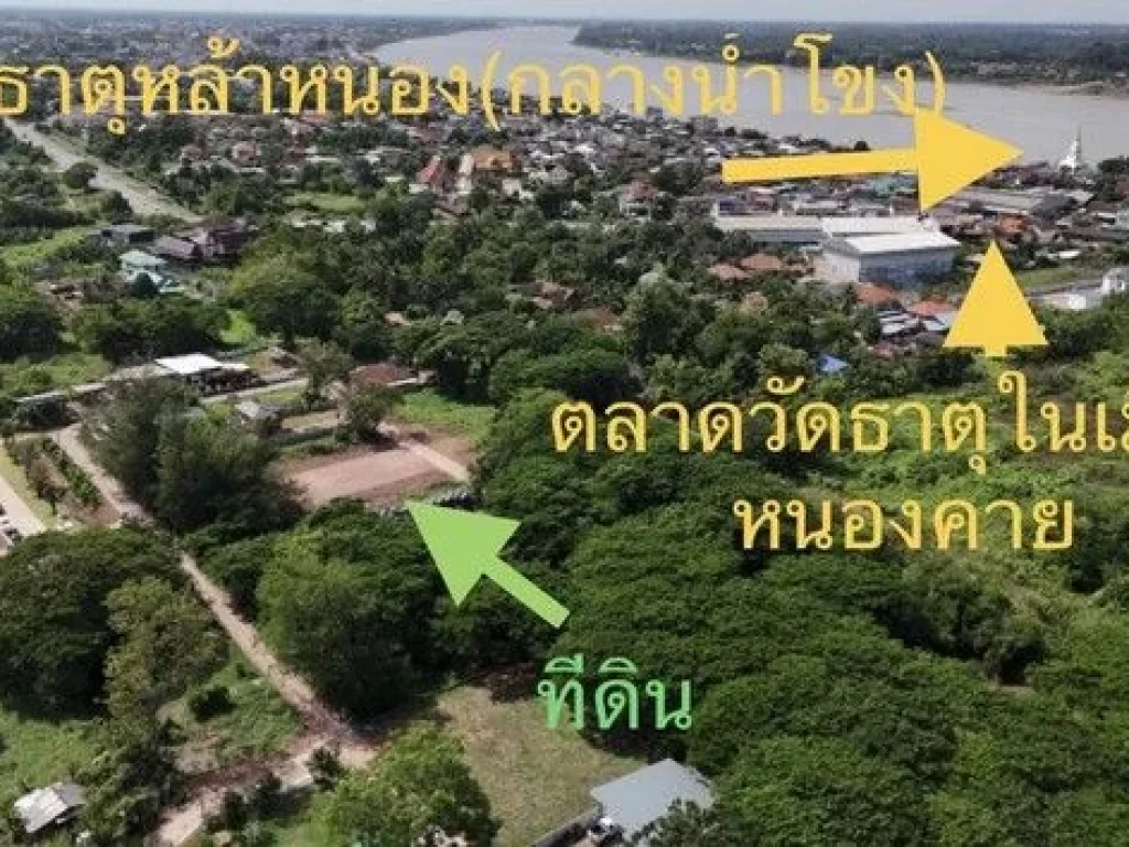 ขายที่ดินใกล้ตลาดวัดธาตุ และพระธาตุหล้าหนอง อเมือง จหนองคาย