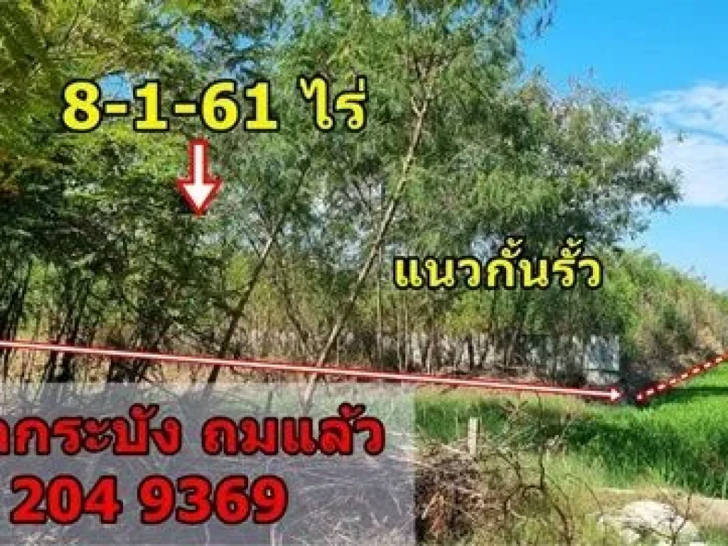 ขายที่ดินลาดกระบัง 8 ไร่ ติดถนน ถมแล้ว ทำเลสวย เหมาะสร้างบ้าน