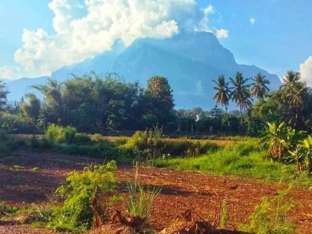 ขายที่ดินเชียงดาววิวดอยหลวงติดลำห้วยโฉนดพร้อมโอน