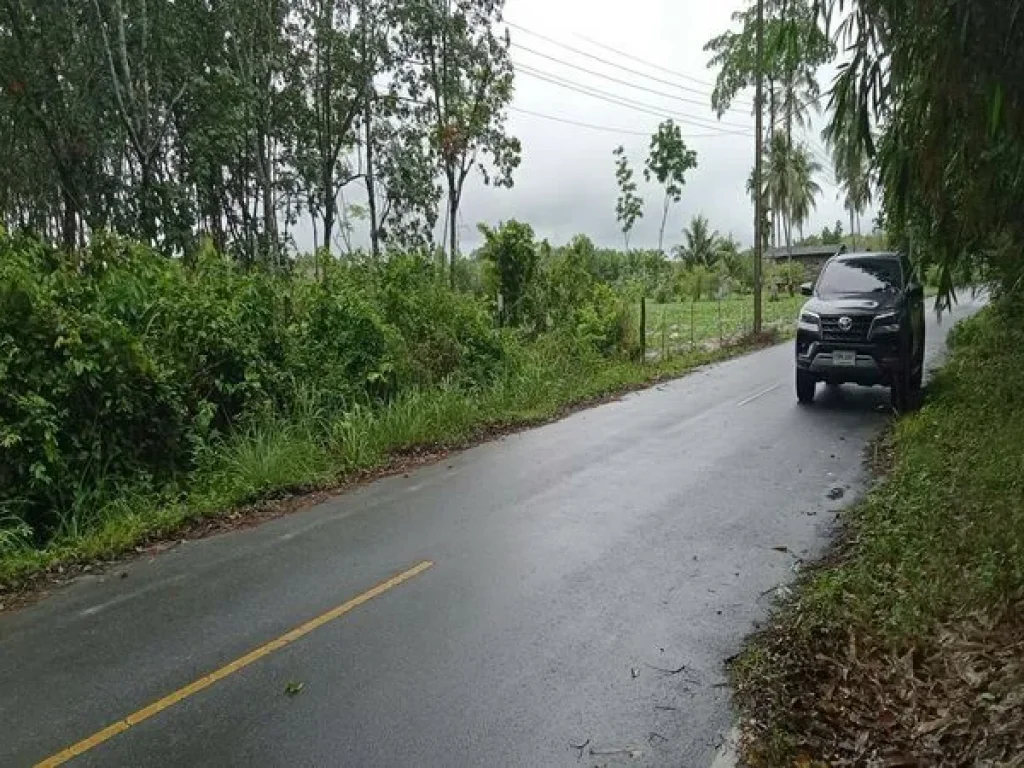 ขายที่ดิน ร่อนพิบูลย์ ถนนร่อนพิบูลย์ ควนพัง ร่อนพิบูลย์