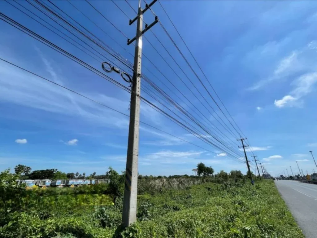 ขายด่วน ที่ดิน ติดถนนปทุมธานี-บางปะหัน จังหวัดปทุมธานี