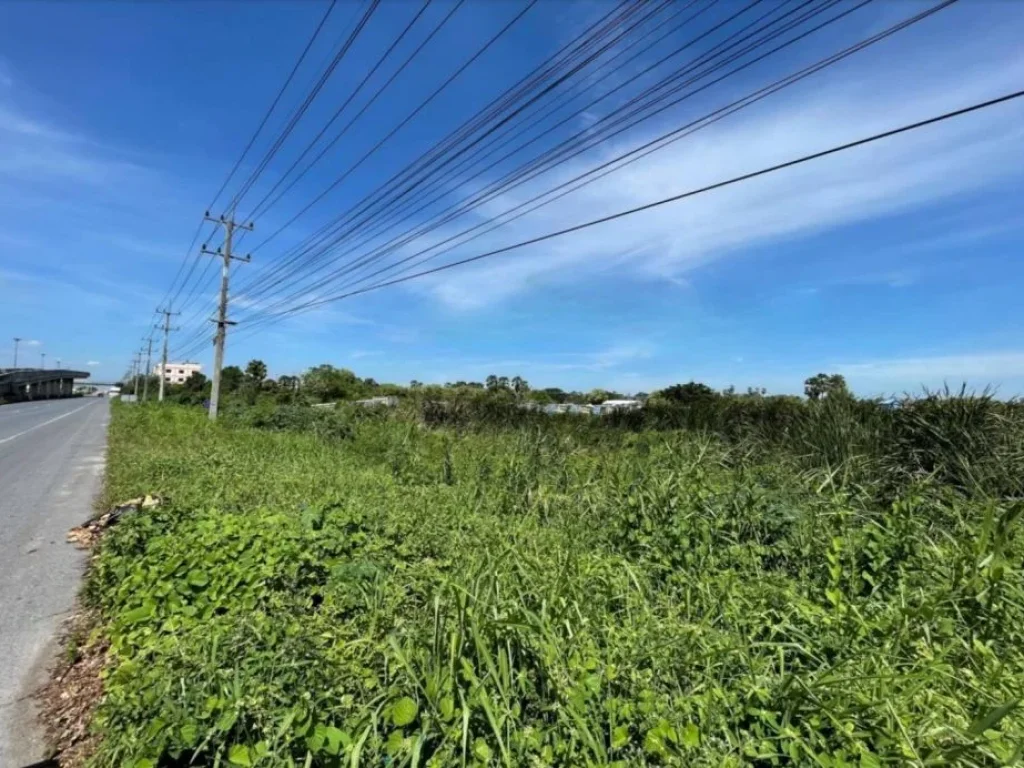 ขายด่วน ที่ดิน ติดถนนปทุมธานี-บางปะหัน จังหวัดปทุมธานี