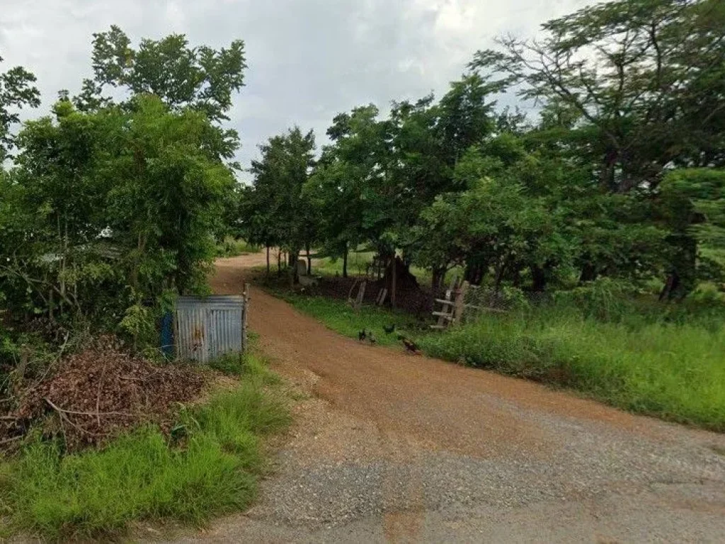 ขายที่ดิน ไร่นาสวนผสม ติดถนน ตเมืองเก่า อเมือง จสุโขทัย