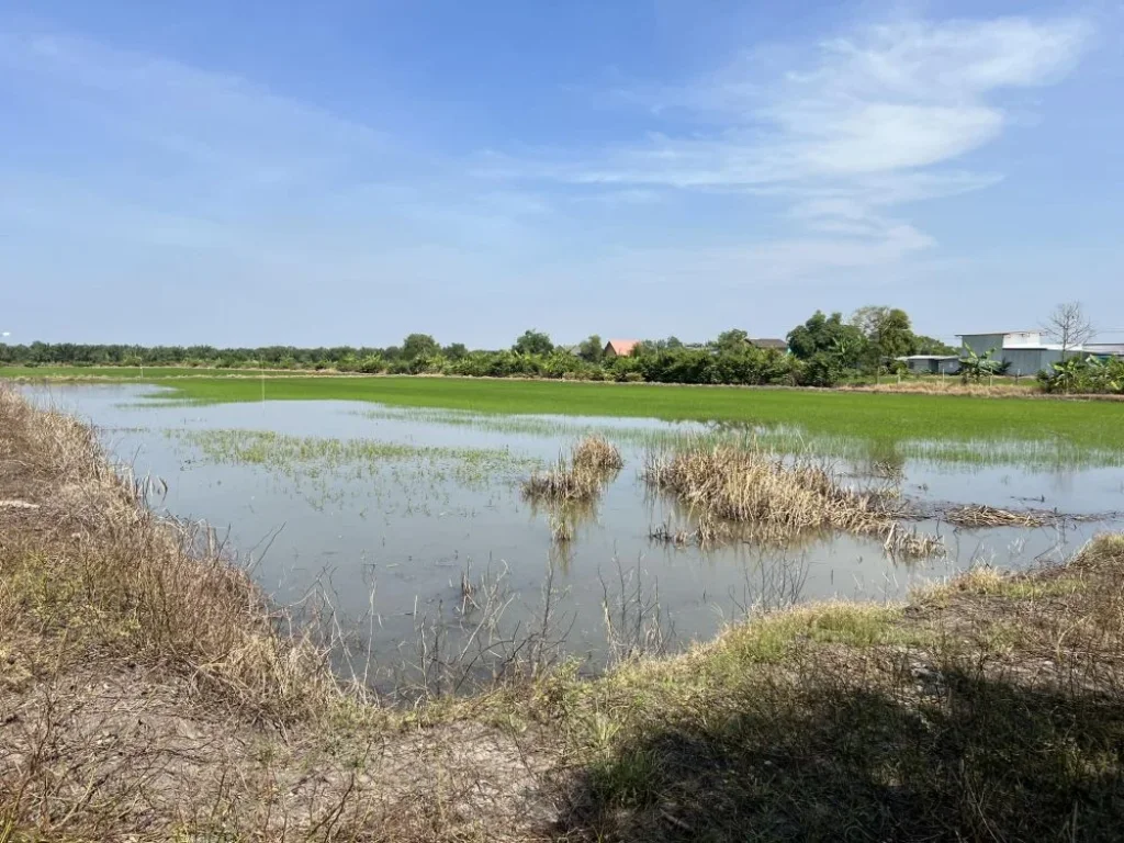 ขายที่ดินกรุงเทพ หนองจอก คลองสิบ เจ้าของขายเอง