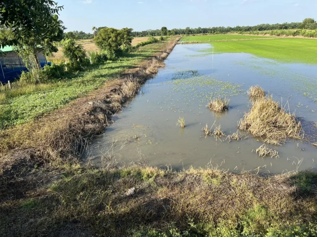 ขายที่ดินกรุงเทพ หนองจอก คลองสิบ เจ้าของขายเอง