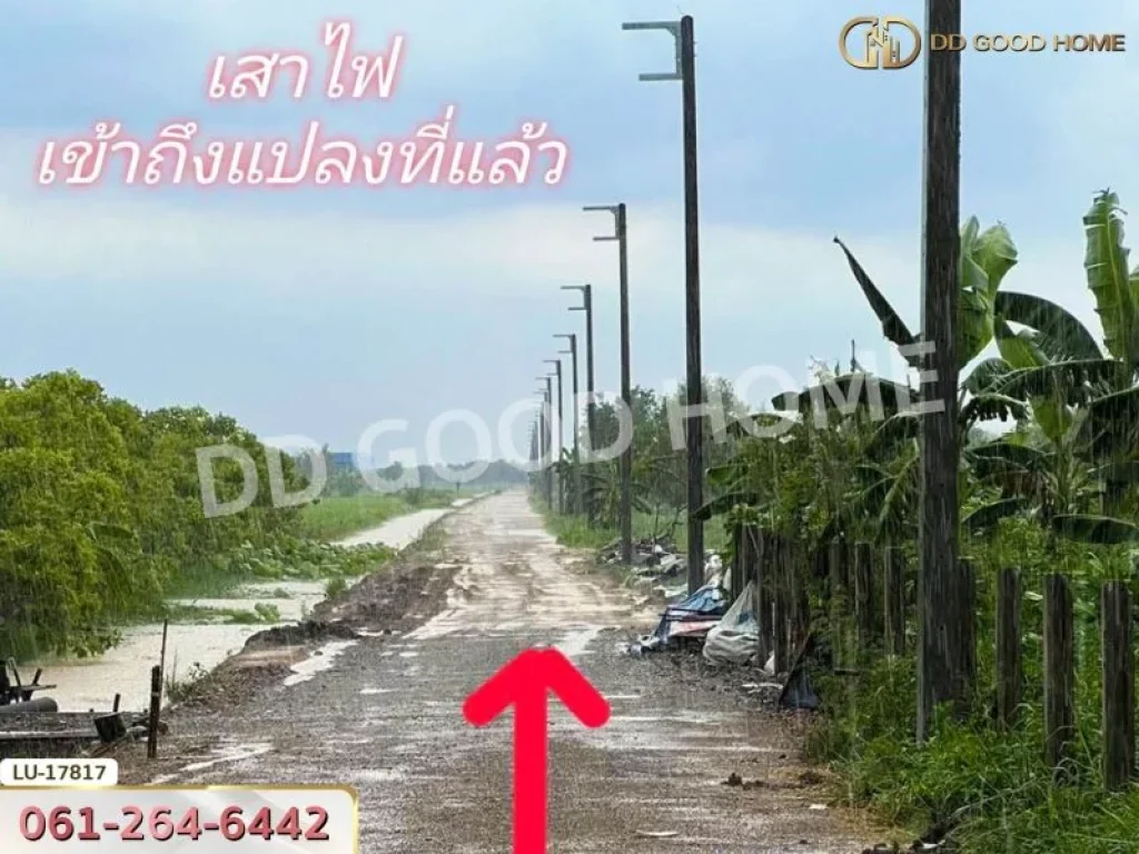 ที่ดิน อคลองหลวง 2 ไร่ 25 ตรว ปทุมธานี