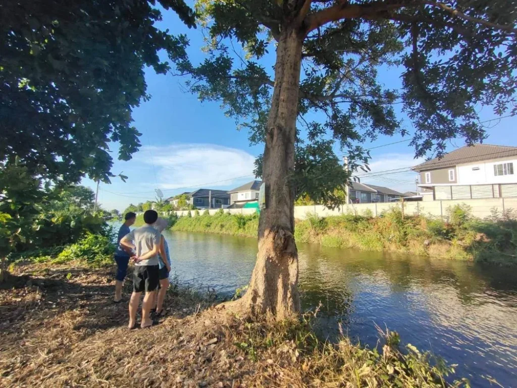 ที่ดินบางใหญ่ติดคลองลาดละมุดสวยมีทางเข้าภาระจำยอม 5 เมตร