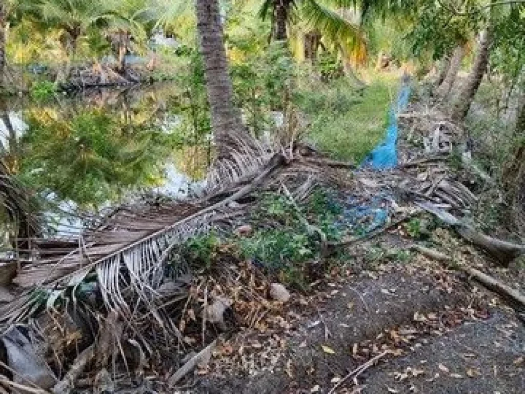 ขายด่วน ที่ดินติดถนนพร้อมบ้าน อไทรน้อย ตขุนศรี จนนทบุรี