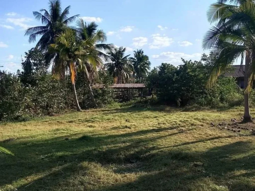 ที่ดินอยู่อาศัยแปลงสวย ติดถนนคอนกรีต น้ำไฟต่อเข้าได้เลย