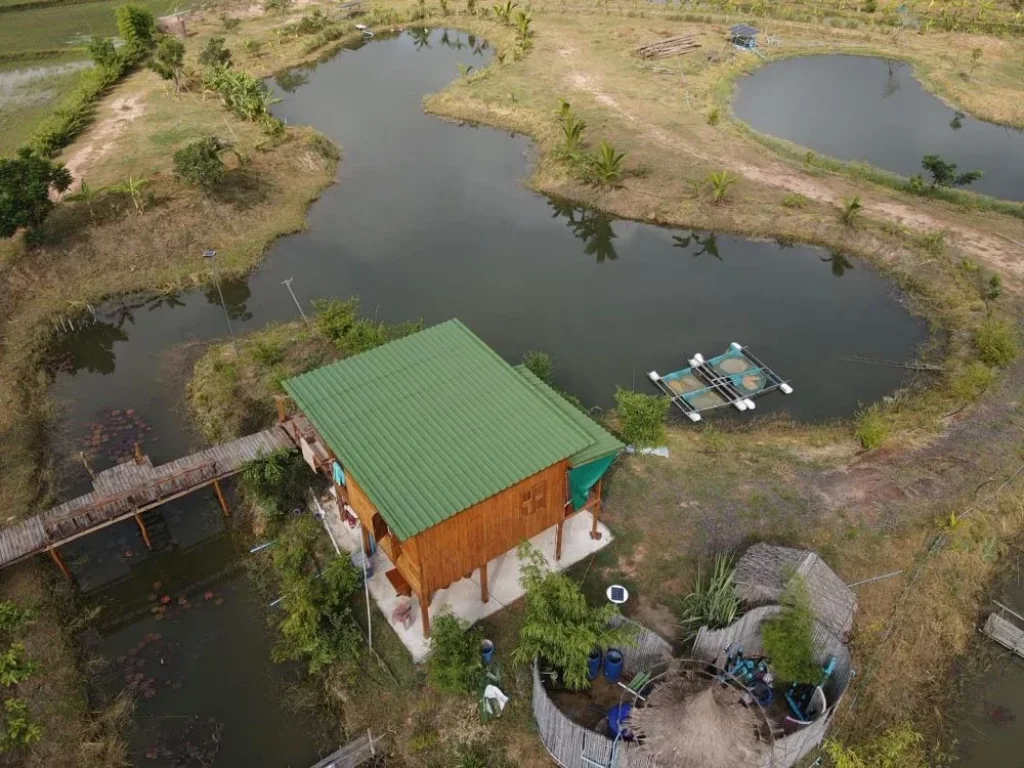 ที่ดิน ที่นา โคกหนองนา พร้อมบ้านเรือนไทยไม้สัก