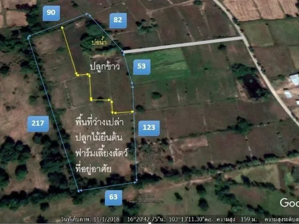 ที่ดินใกล้คณะสัตวแพทย์ มมส 12ไร่ กันทรวิชัย ไร่ละ 165000