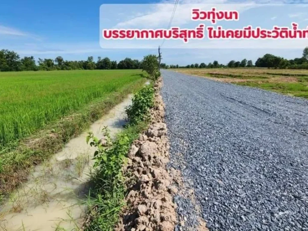 ขายที่ดินเงินผ่อน ฟรีดอกเบี้ย 1 ไร่ หนองหญ้าไซ สุพรรณบุรี