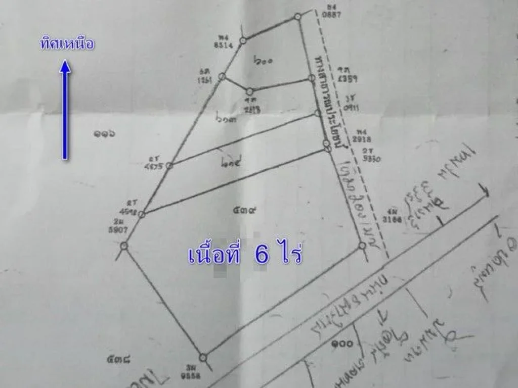 ขายที่ดิน ปลูกมันสำปะหลัง 6 ไร่ อุทยานแห่งชาติเขาใหญ่ ปากช่อง