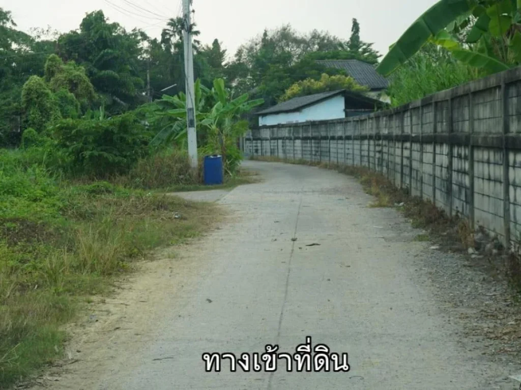 ขายที่ดินติดแม่น้ำท่าจีน สามพราน นครปฐม อยู่ฝั่งตรงข้ามวัดเช