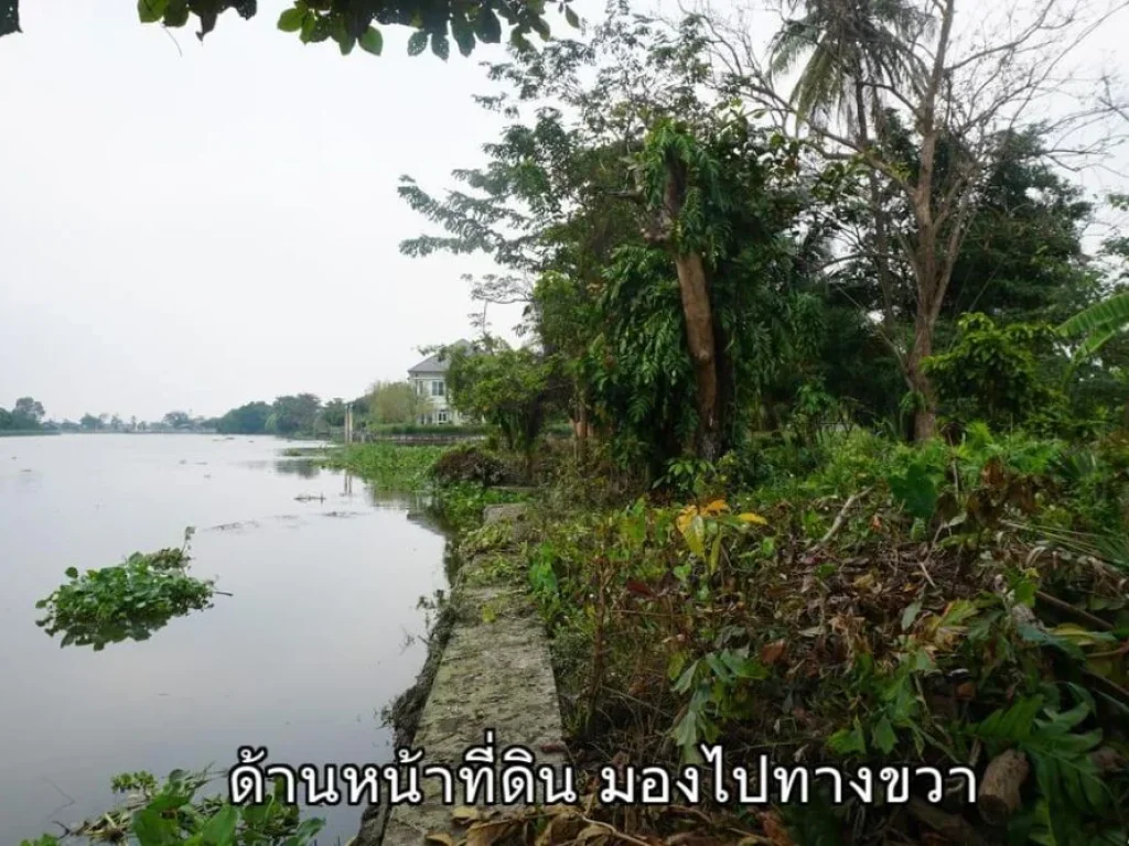 ขายที่ดินติดแม่น้ำท่าจีน สามพราน นครปฐม อยู่ฝั่งตรงข้ามวัดเช