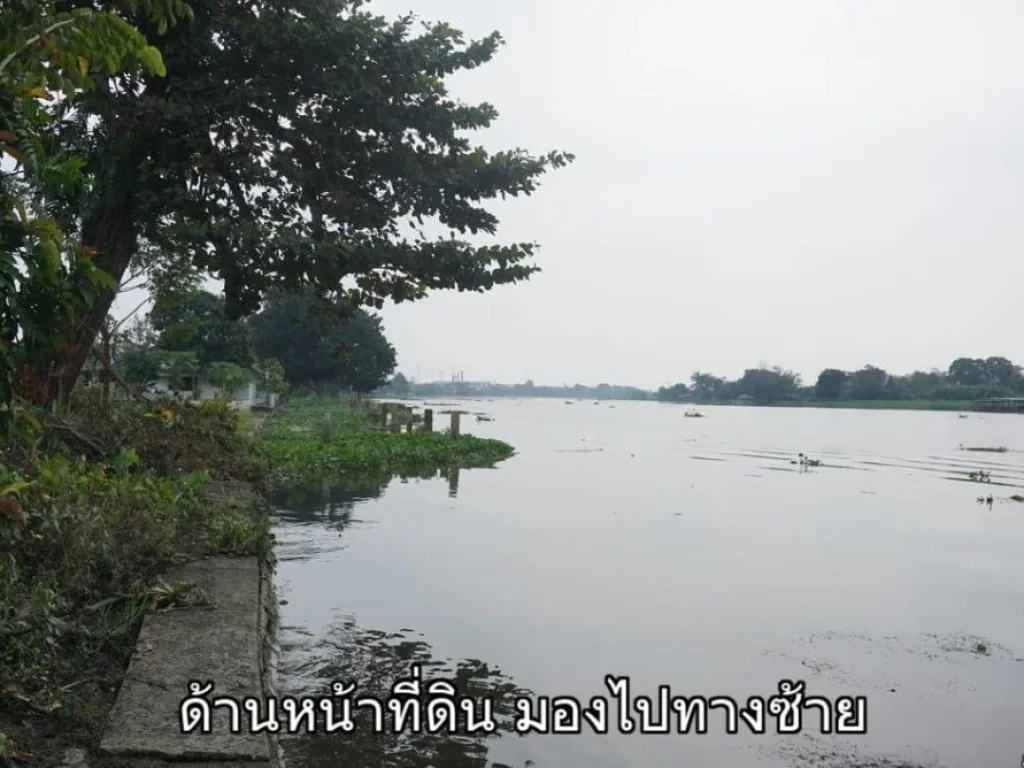 ขายที่ดินติดแม่น้ำท่าจีน สามพราน นครปฐม อยู่ฝั่งตรงข้ามวัดเช