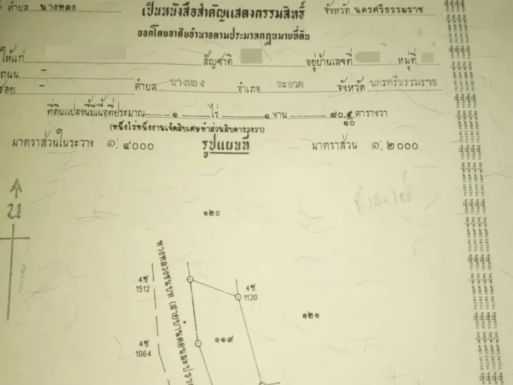 ที่ดิน3 ไร่กับที่ดินติดถนน 1 ไร่ 1 งาน 705 ตรวา