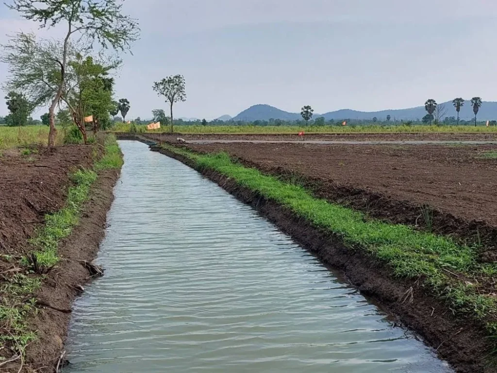 โครงการสุขธนาวิว 8 ที่ดินถมแล้ว ราคาถูก ทำเลดี วิวเขาสวย