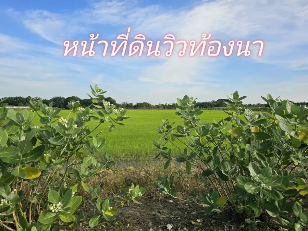 ขายที่ดินถมแล้ว เนื้อที่ 111 ตรว พร้อมอยู่ น้ำไฟพร้อม