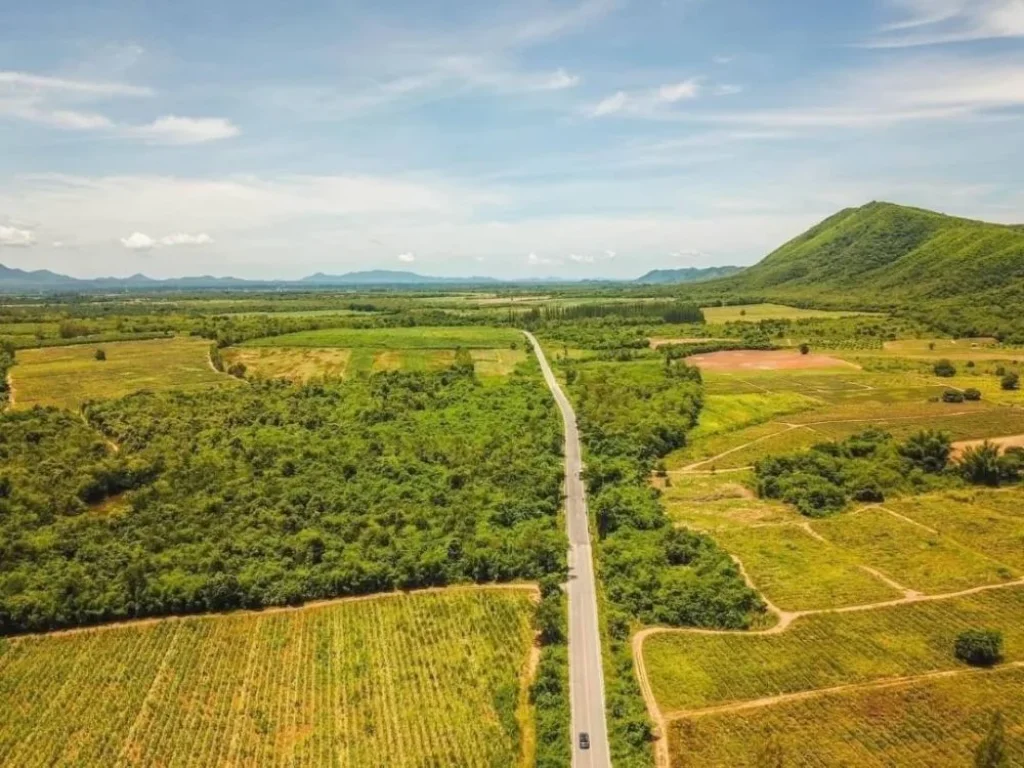 ขายที่ดินวิวภูเขาล้อมรอบ360องศา 100 ตรวติดถนน ท่ายาง