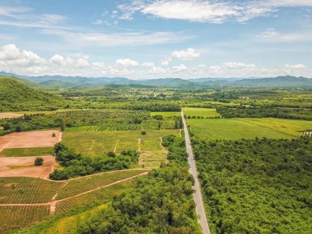 ขายที่ดินวิวภูเขาล้อมรอบ360องศา 100 ตรวติดถนน ท่ายาง