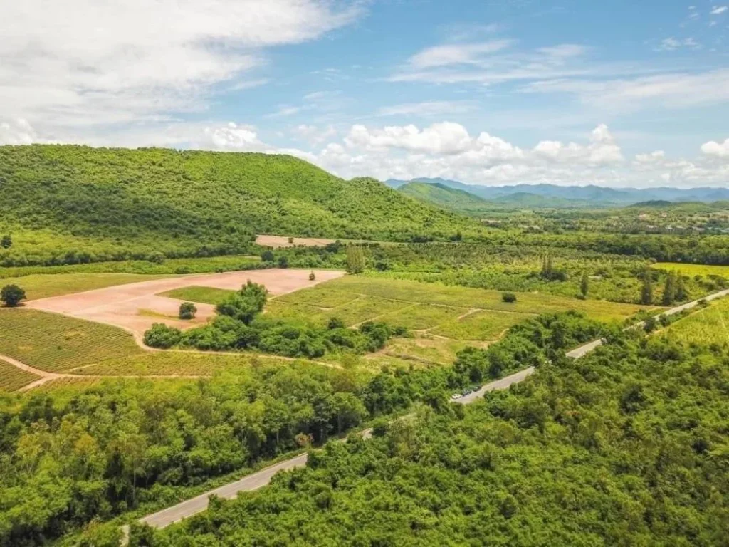 ขายที่ดินวิวภูเขาล้อมรอบ360องศา 100 ตรวติดถนน ท่ายาง