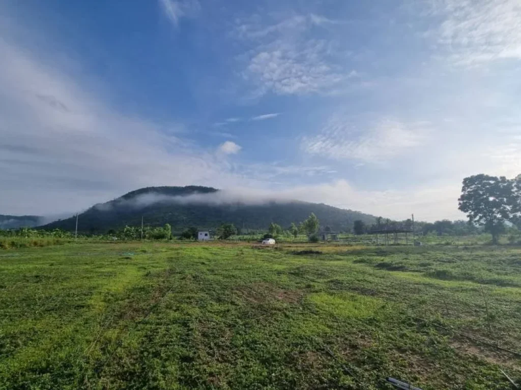 ขายที่ดินเนื่อที่ 3-2-0 ไร่ อำเภอด่านช้าง จังหวัดสุพรรณบุรี