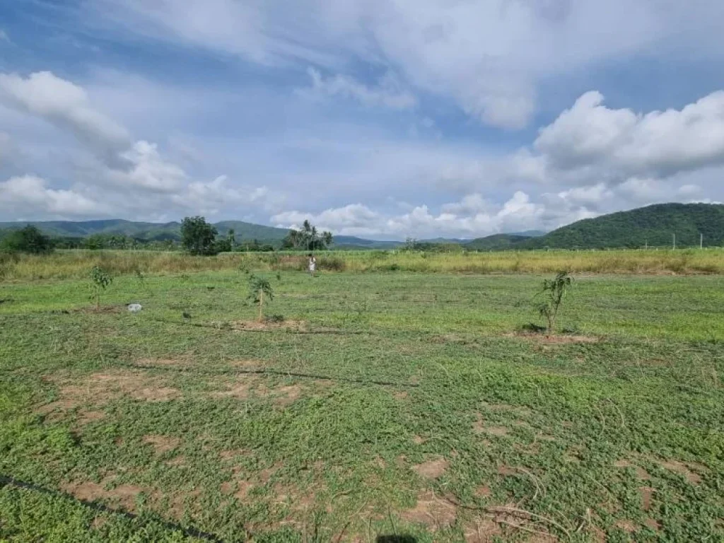 ขายที่ดินเนื่อที่ 3-2-0 ไร่ อำเภอด่านช้าง จังหวัดสุพรรณบุรี