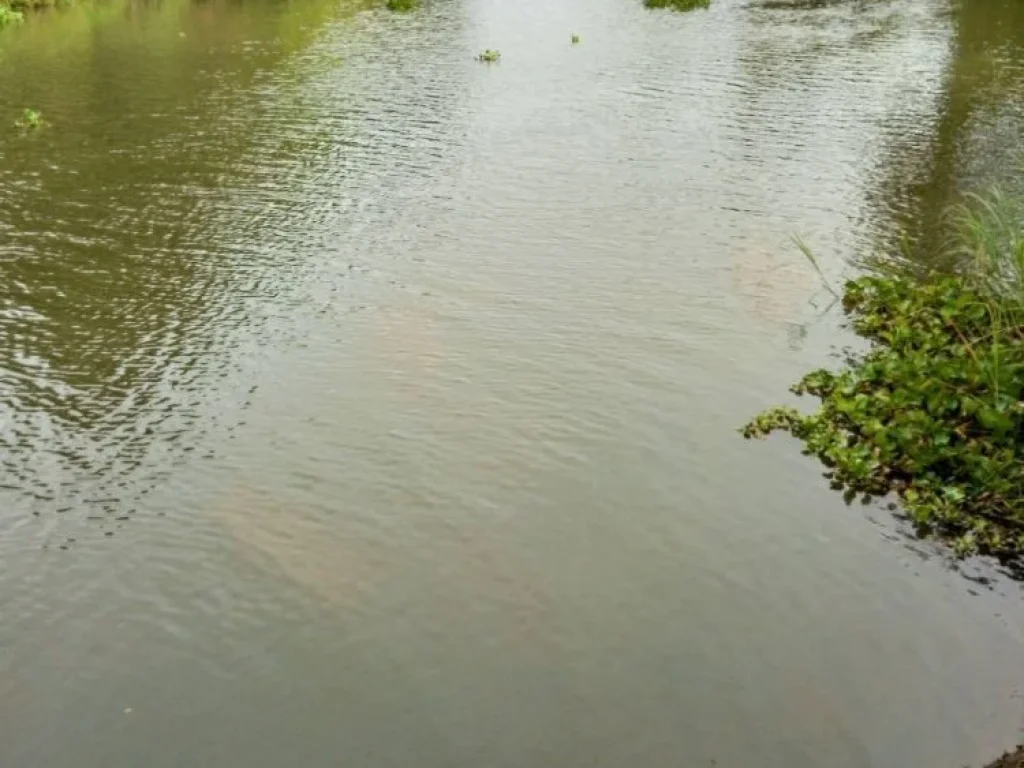 ขายที่ดินสวยติดแม่น้ำลพบุรี อำเภอบางปะหัน จังหวัดอยุธยา