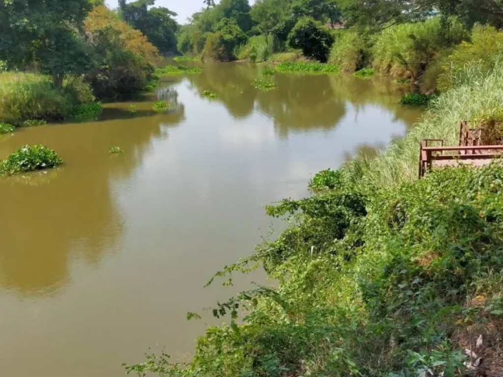 ขายที่ดินสวยติดแม่น้ำลพบุรี อำเภอบางปะหัน จังหวัดอยุธยา