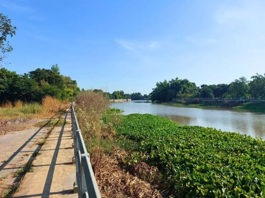 บ้าน ริมแม่น้ำท่าจีน สวยมาก ขายพร้อมสวนมะม่วง พื้นที่ 4 ไร่