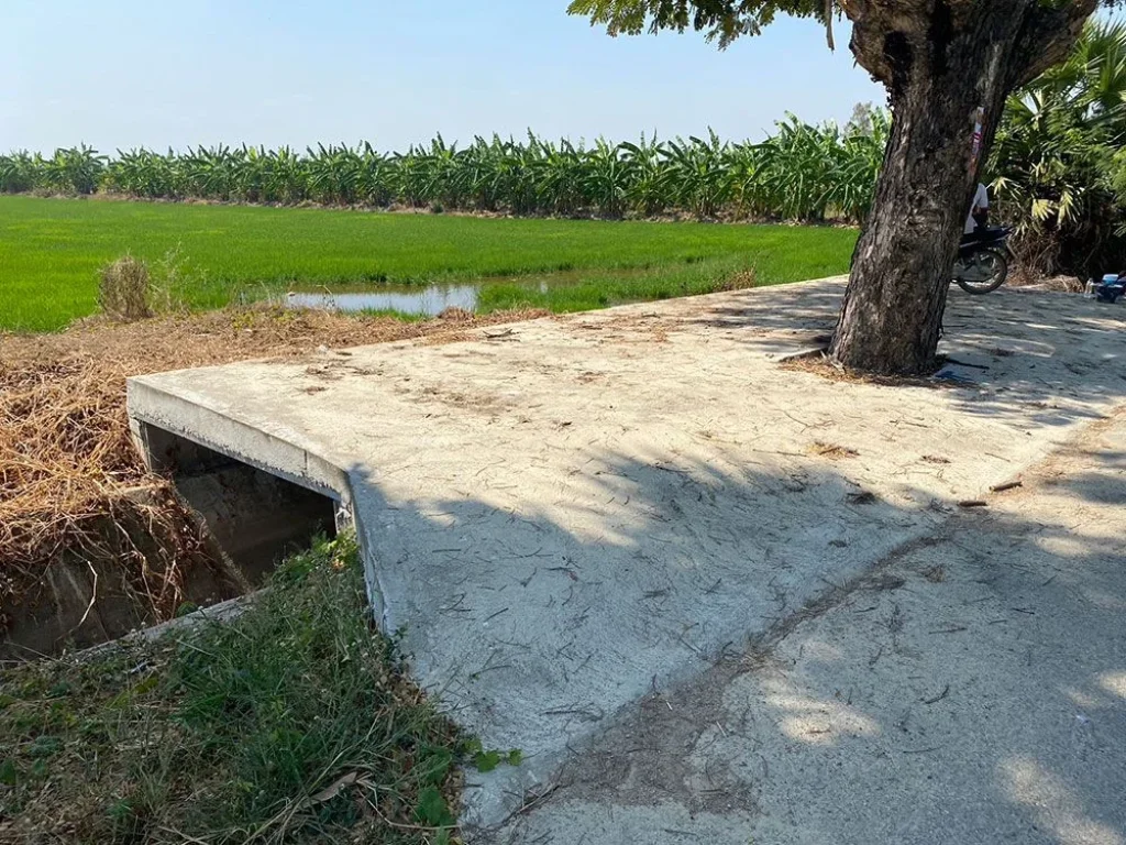 ขายที่ดินใกล้ทะเลหาดเพชร อำเภอท่ายาง เพชรบุรี