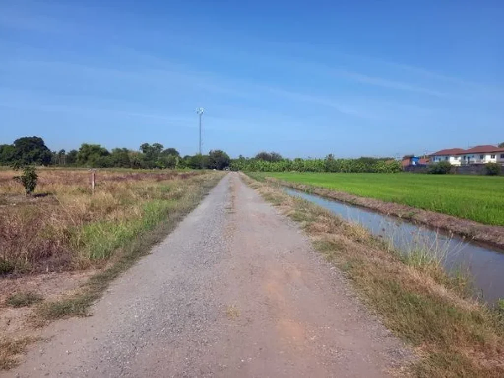 ขายที่ดิน คลองหลวงแพ่ง ซอยวัดวีระโชติ ถนนสุวินทวงศ์