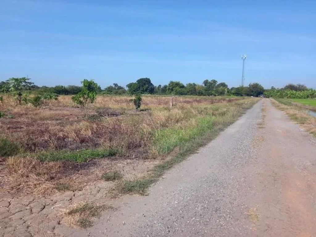 ขายที่ดิน คลองหลวงแพ่ง ซอยวัดวีระโชติ ถนนสุวินทวงศ์